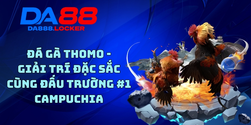 Đá Gà Thomo - Giải Trí Đặc Sắc Cùng Đấu Trường #1 Campuchia