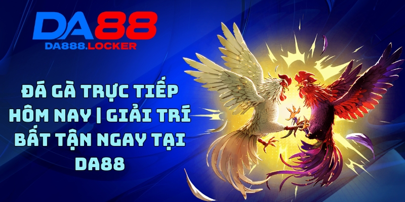 Đá Gà Trực Tiếp Hôm Nay | Giải Trí Bất Tận Ngay Tại DA88